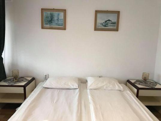 Bed and Breakfast Engi Panzio Ocna de Sus Екстер'єр фото