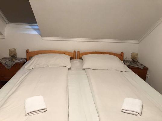 Bed and Breakfast Engi Panzio Ocna de Sus Екстер'єр фото