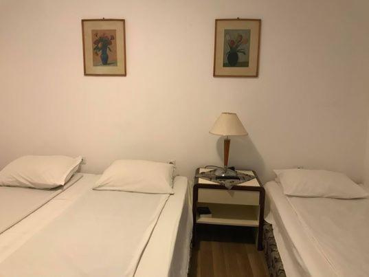 Bed and Breakfast Engi Panzio Ocna de Sus Екстер'єр фото